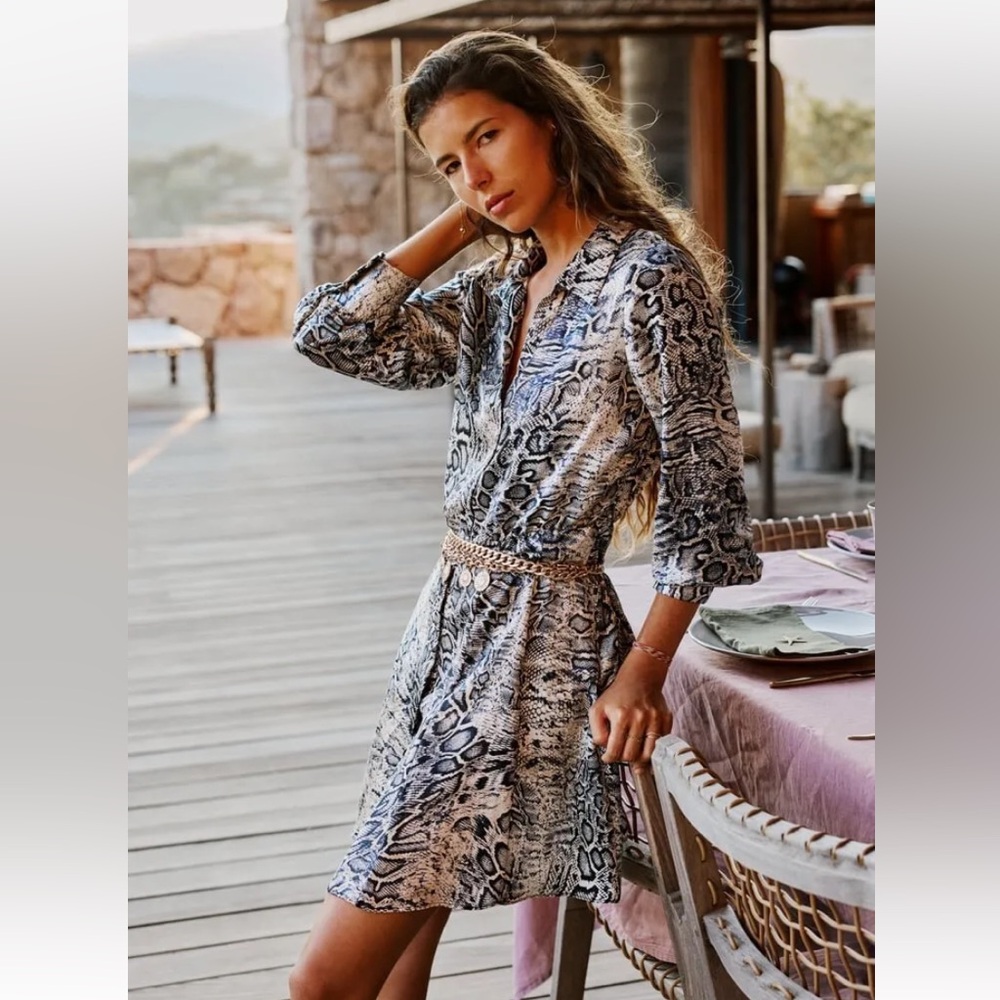 Zara Snakeskin Button-Up Dress